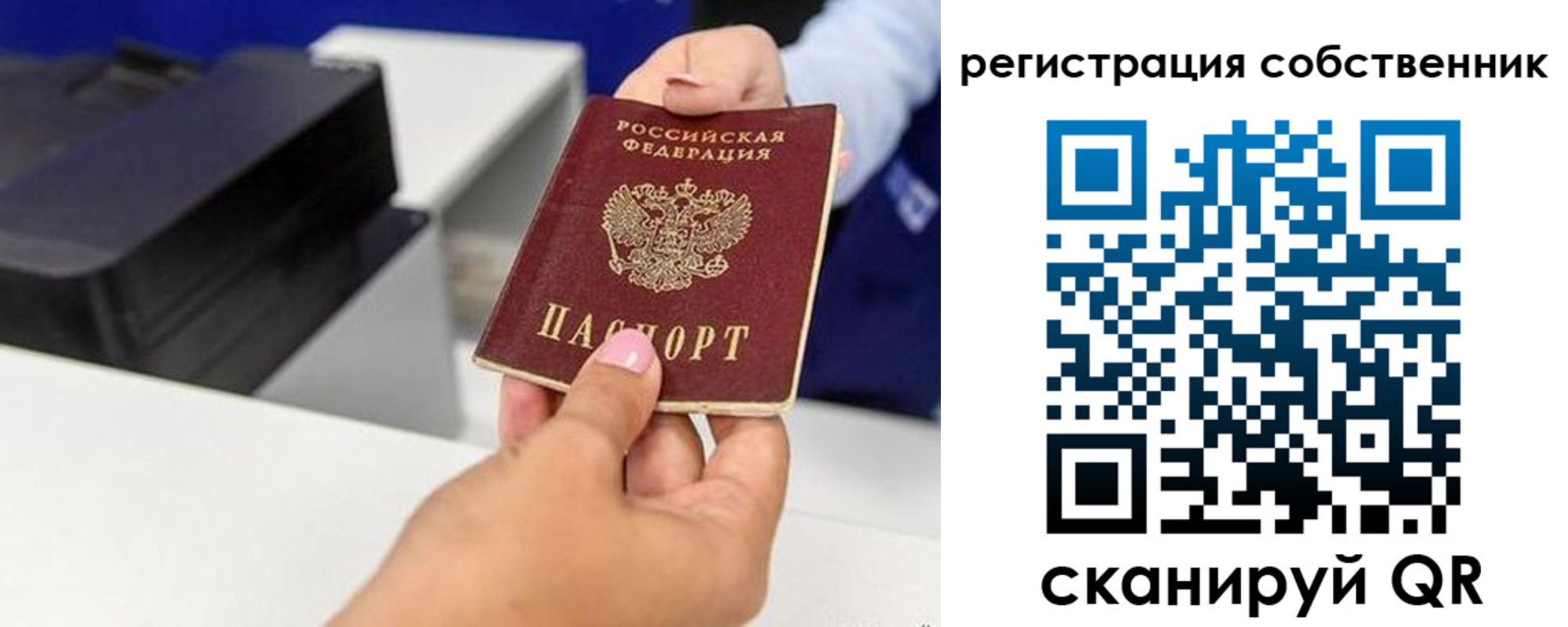 прописка для школы в Иваново